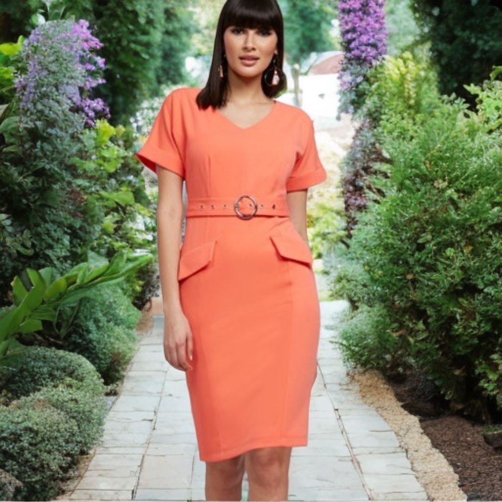 New York & Co Soft Orange Belted V-Neck Classic Midi Dress XS Career Chic New - Picture 1 of 17